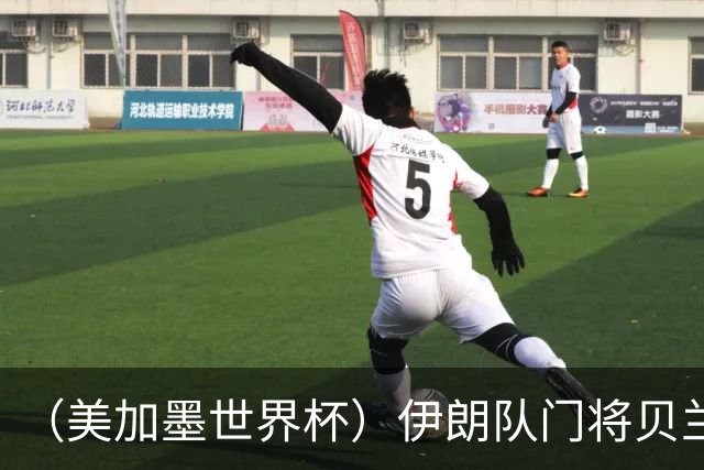 （美加墨世界杯）伊朗队门将贝兰万德的“满分”